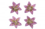 Цветы лилии, набор 4 шт, диам 5 см, нежно-сиреневые