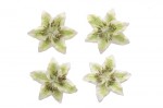 Цветы лилии, набор 4 шт, диам 5 см, светло-зеленый