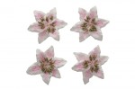Цветы лилии, набор 4 шт, диам 5 см, бело-розовые